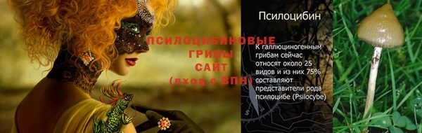 гашик Абинск