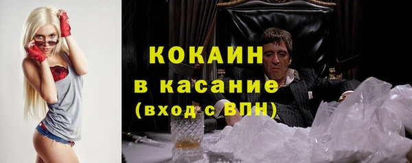 соль ск Абаза