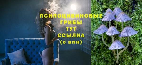 соль ск Абаза