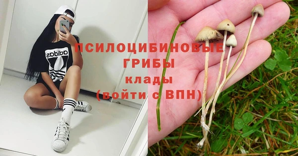 гашик Абинск