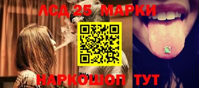 индика Ирбит