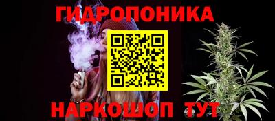 индика Ирбит