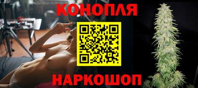 индика Ирбит