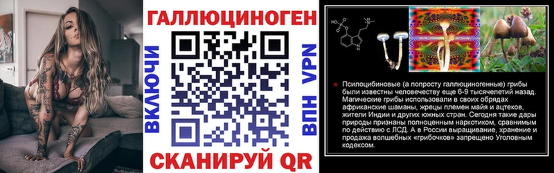 Псилоцибиновые грибы Cubensis  Нальчик 